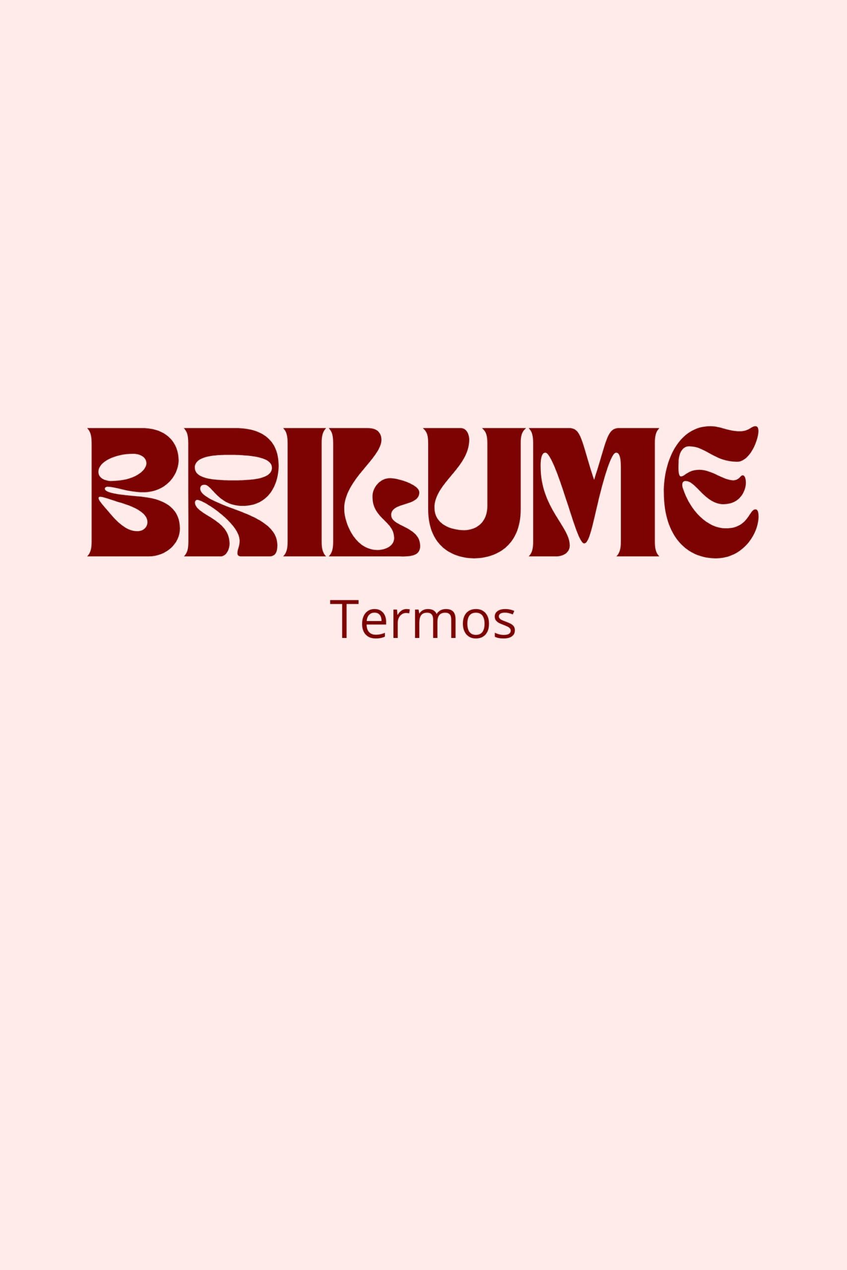 Termos e Condições