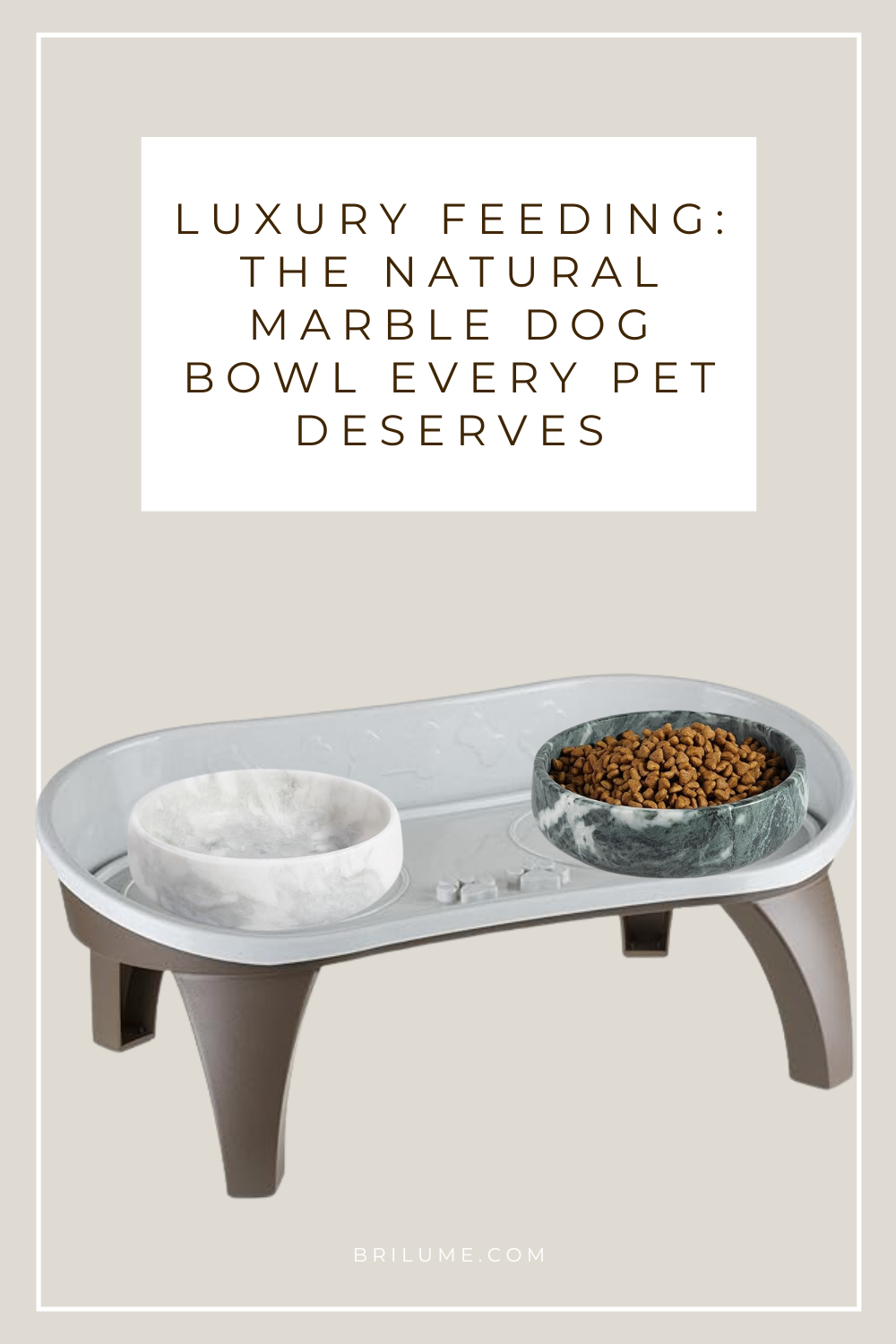 Pet Items from Amazon You’ll Love